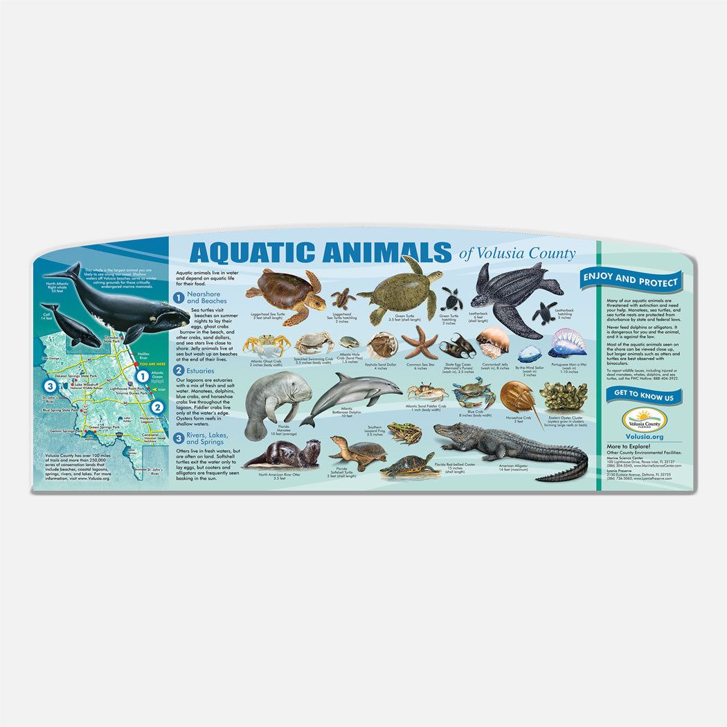 This beautifully illustrated educational display describes and identifies aquatic animals of Volusia County.