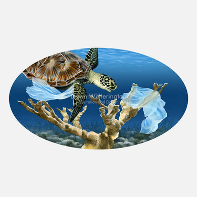 This illustration is of a green turtle, Chelonia midas, and elkhorn coral, Acropora palmata, entangled in plastic debris.