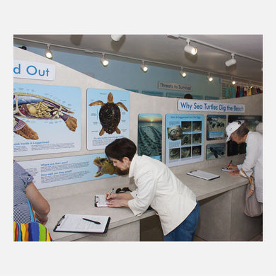 These educational displays were created for The Turtle Hospital in Marathon Florida. 