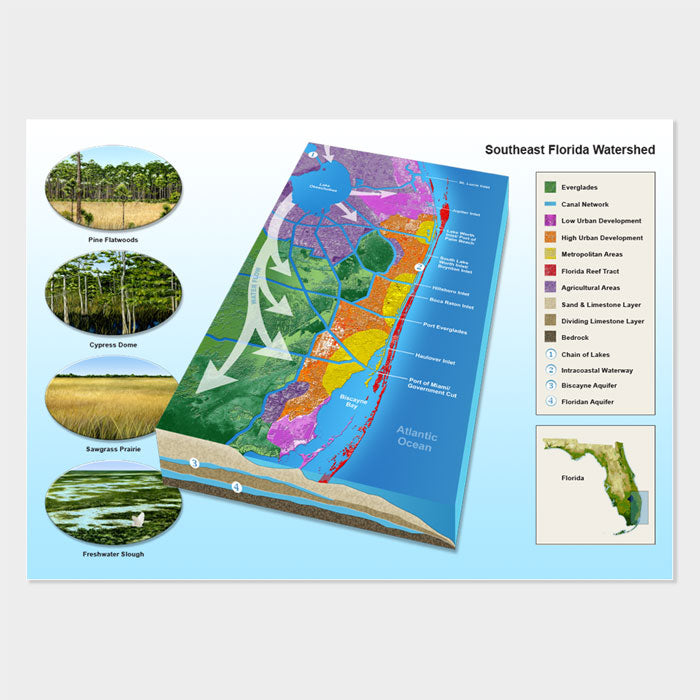 This graphic is of a Florida watershed map with habitat illustration insets.