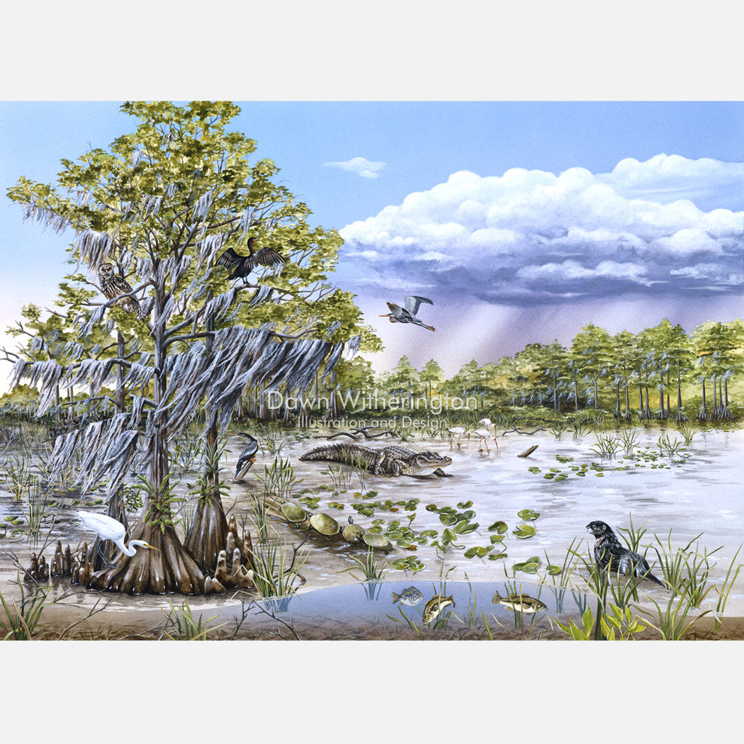 This beautiful, highly detailed illustration is of Florida wetlands and associated critters.